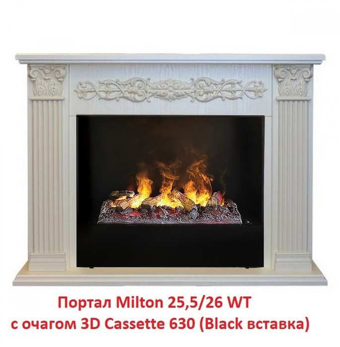 ���� ������������� Real-Flame 3D Cassette 630